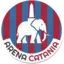 Arena Catania