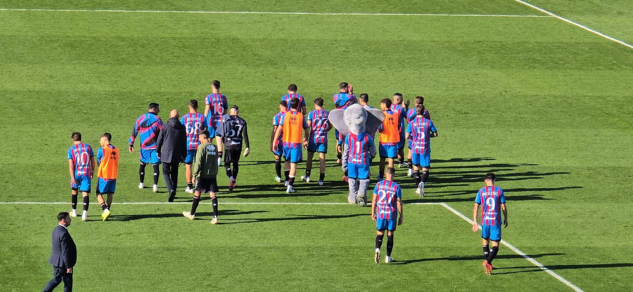 Catania FC giocatori in campo